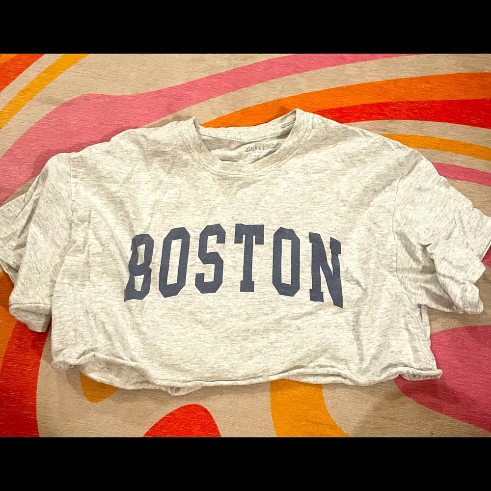 Brandy Melville Cropped Boston Tee
